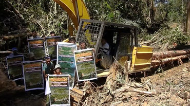 Protest against palm oil plantation in Sarawak