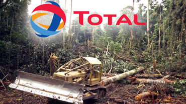 Rainforest clearing, Total logo