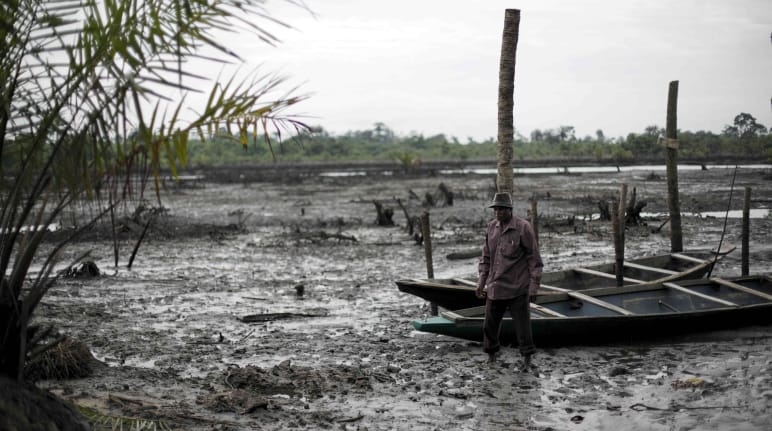 Oil pollution in the Niger Delta