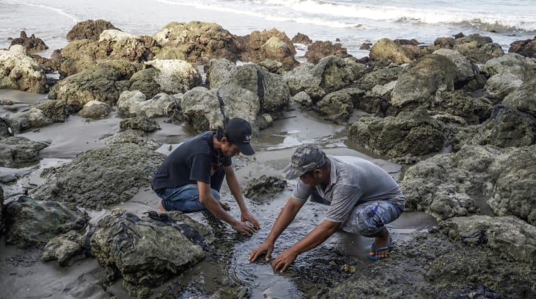 Two men working on the bitumen-polluted coast