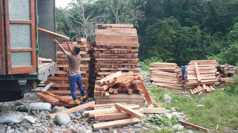 Balsa wood being loaded into a truck