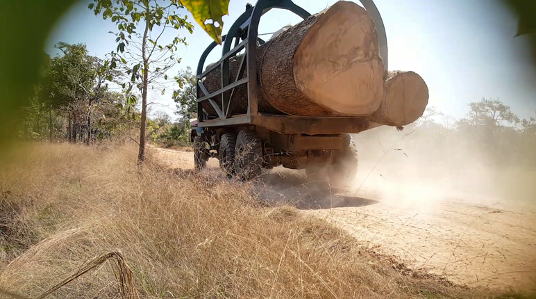 Trucks smuggle illegal timber out of Cambodia. Timber truck in Cambodia