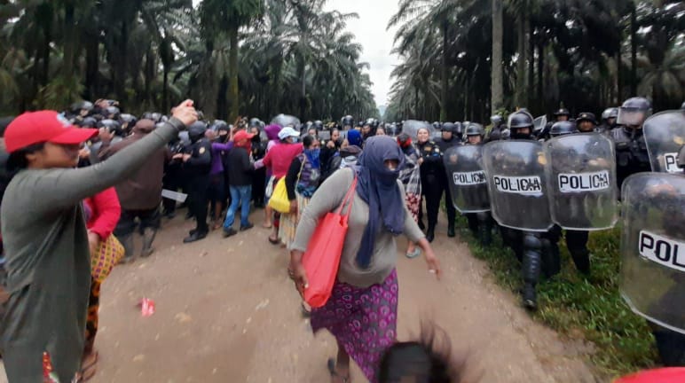 A group of Maya protests on the left of the image, while police in riot gear advance under oil palms on the right