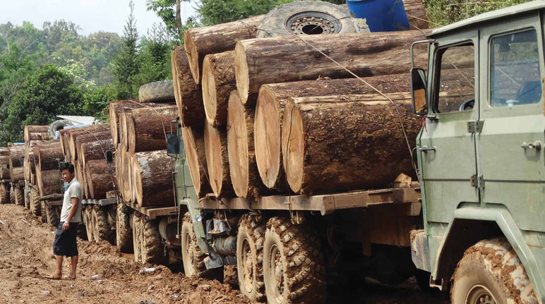 Myanmar: logs on trucks