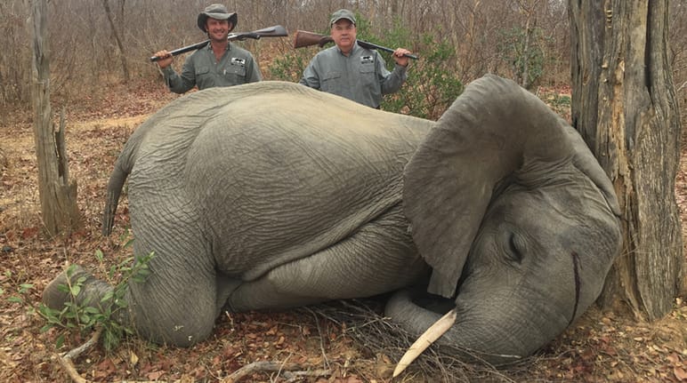 Elephant hunters in Zimbabwe