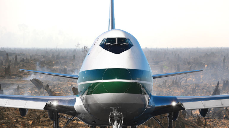 An airliner over torched rainforest