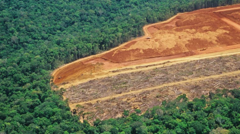 Deforestation in Brazil