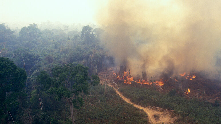 Fire in Amazonia
