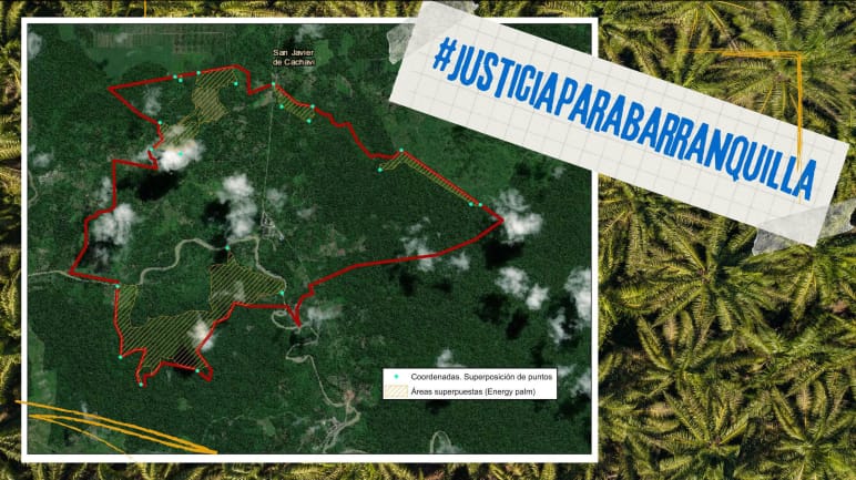 Ecuador: Stop land grabbing and racial discrimination for palm oil