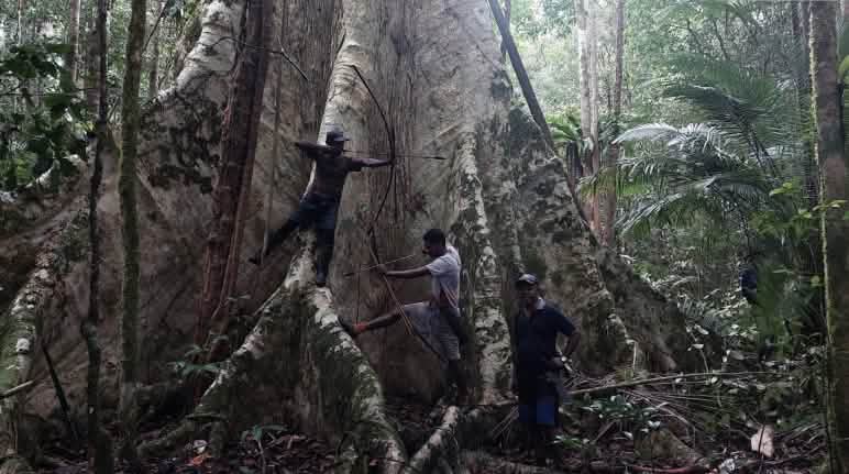 Urai Uni activists protect the forests of the Aru Islands Three men at the foot of a giant tree