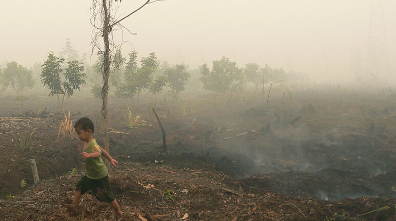 Child walking over smoldering peat in Katingan on Borneo
