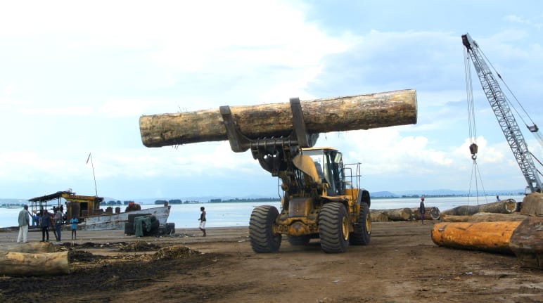Loading timber in the port of Kinshasa