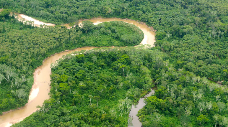 Aerial view of the Peruvian Amazon