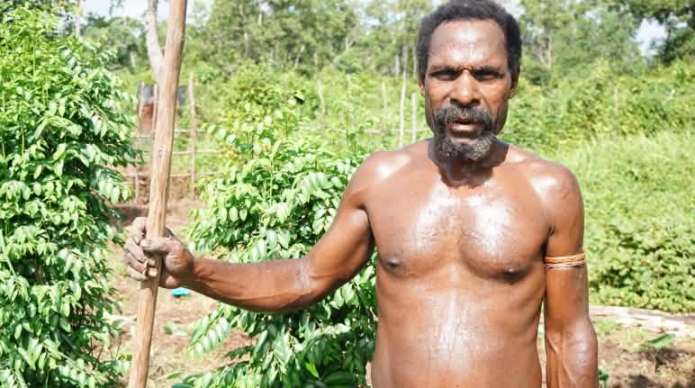 The last paradise on Earth is being destroyed for pulp and paper, palm oil and gold. Papua man from the Gebze clan, Merauke, Indonesia