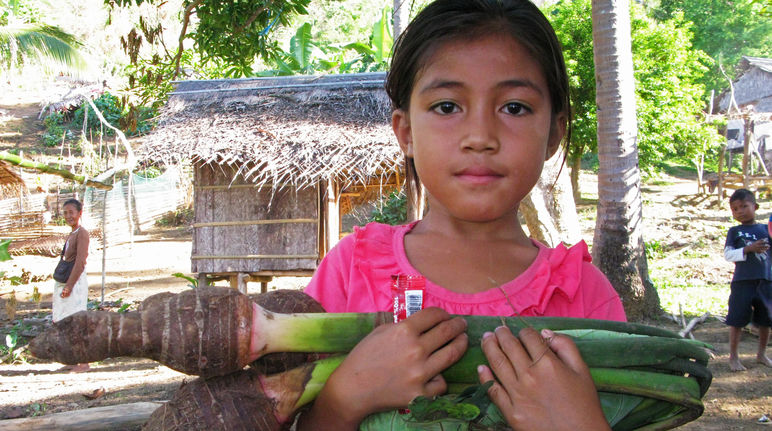 A Pala’wan girl carrying Taro, the local vegetable, standing in front of village huts