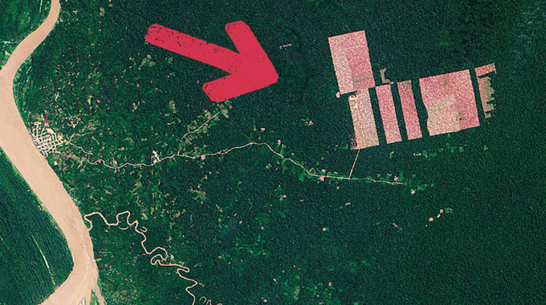 Satellite image of deforestation – Tamshiyacu, Peru