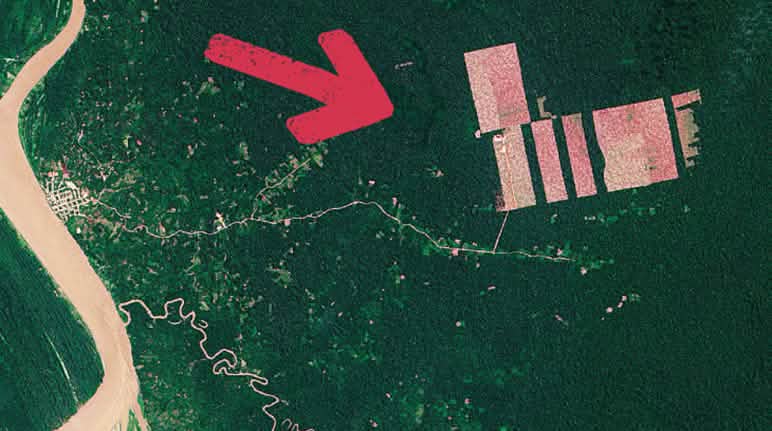 Satellite image of the cocoa plantations cut into the rainforest to the east of the Amazon Satellite image of deforestation – Tamshiyacu, Peru