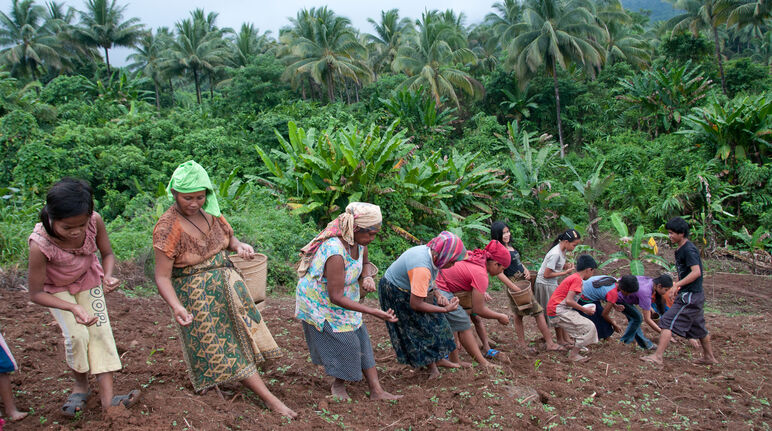 Women planting upland rice
