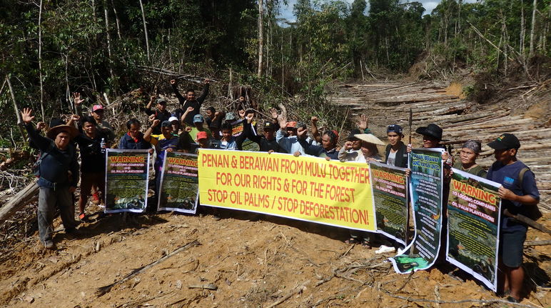 Penan and Berawan people resisting logging in Mulu forest, Sarawak, Malaysia