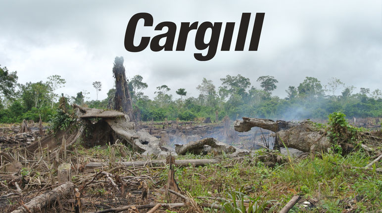 Torched forest and Cargill logo