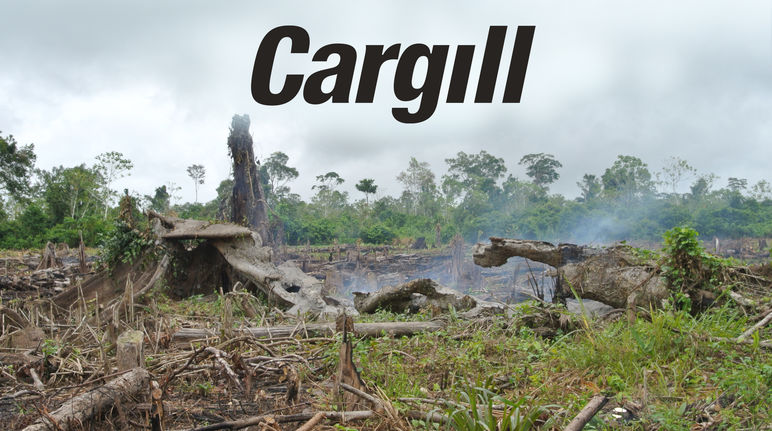 Forests are being torched in South America to make way for industrial farming. Torched forest and Cargill logo