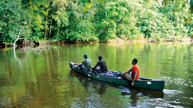 River in Sapo National Park, Liberia