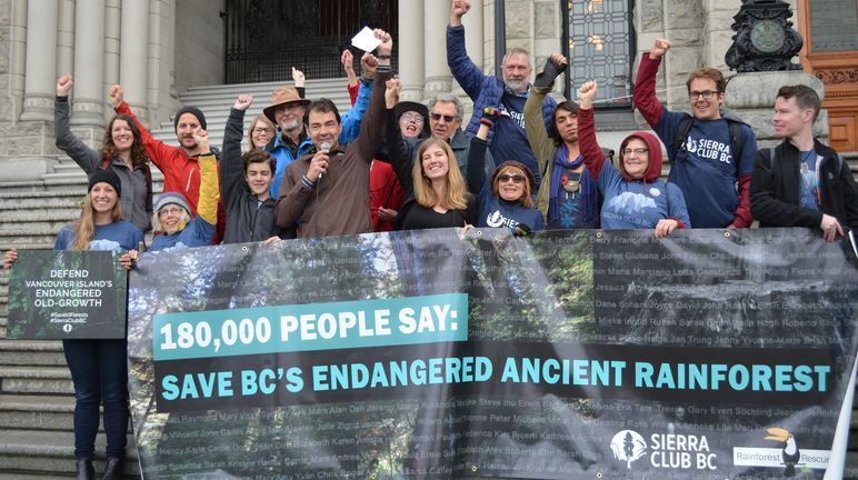 Activists hand over 180,000 signatures protesting logging on Vancouver Island
