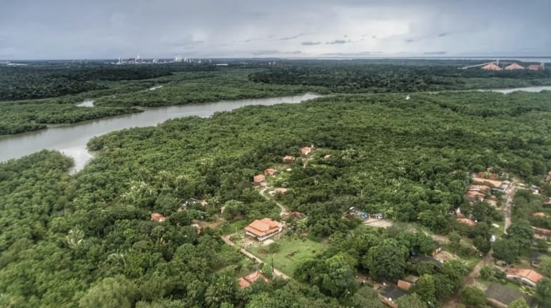Aerial view of houses between trees. Behind them a river with mangrove forest