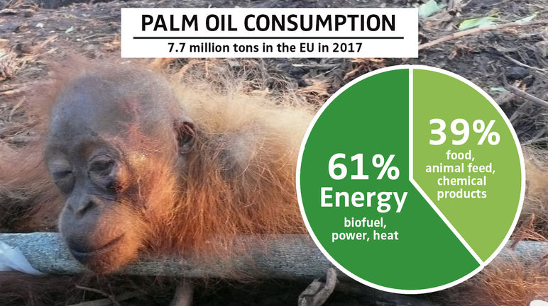 Palm oil consumption in Europe in 2017 PALM OIL CONSUMPTION 2017