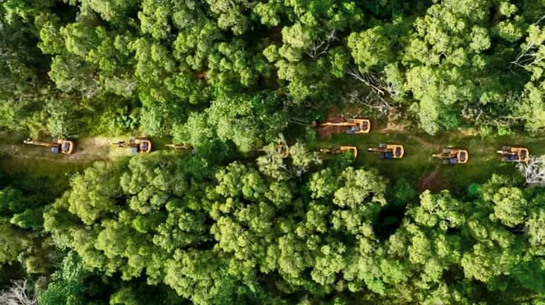 Drone photo of a long row of excavators in the rainforest