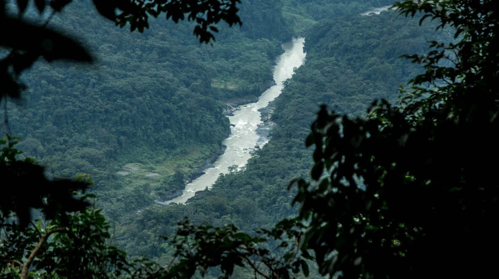 A view through the vegetation opens onto a river in a rainforest valley