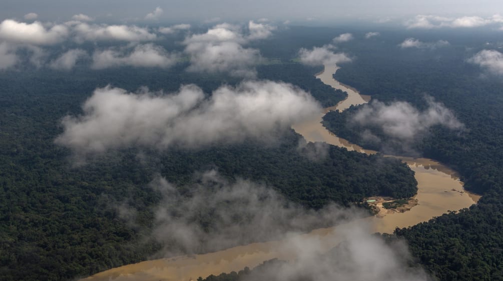 Aerial view of a river meandering through a rainforest, clouds