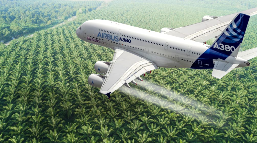 Montage: Airbus A380 over an oil palm plantation