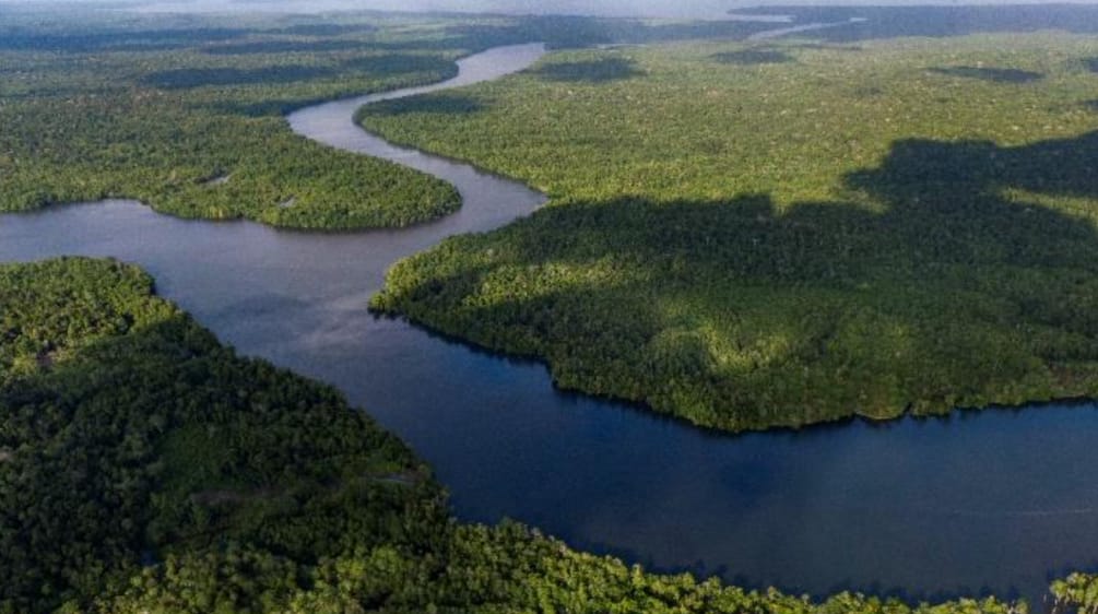 Wooded islands with water in between