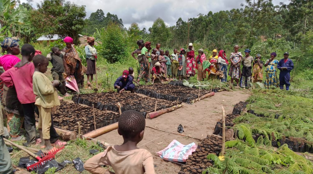Villagers grow seedlings in a tree nursery and plant them