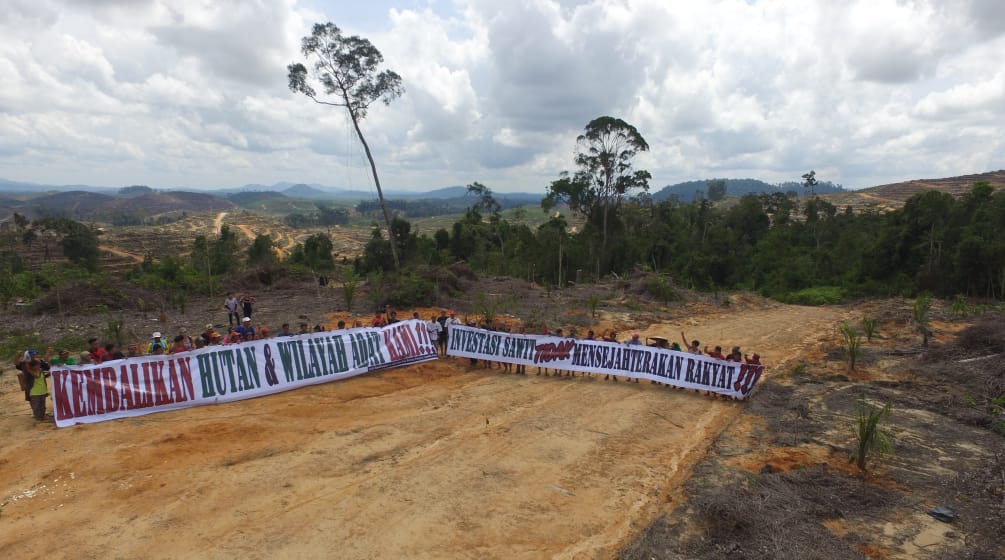 Protesting against oil palm plantations in Borneo