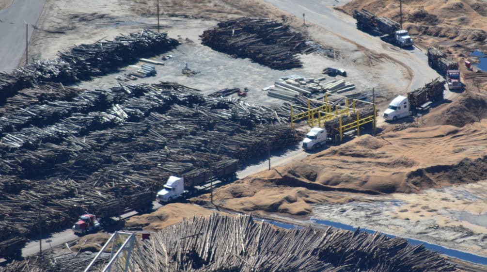 Terrible for forests, terrible for the climate: wood pellet production Trucks delivering timber to a pellet factory