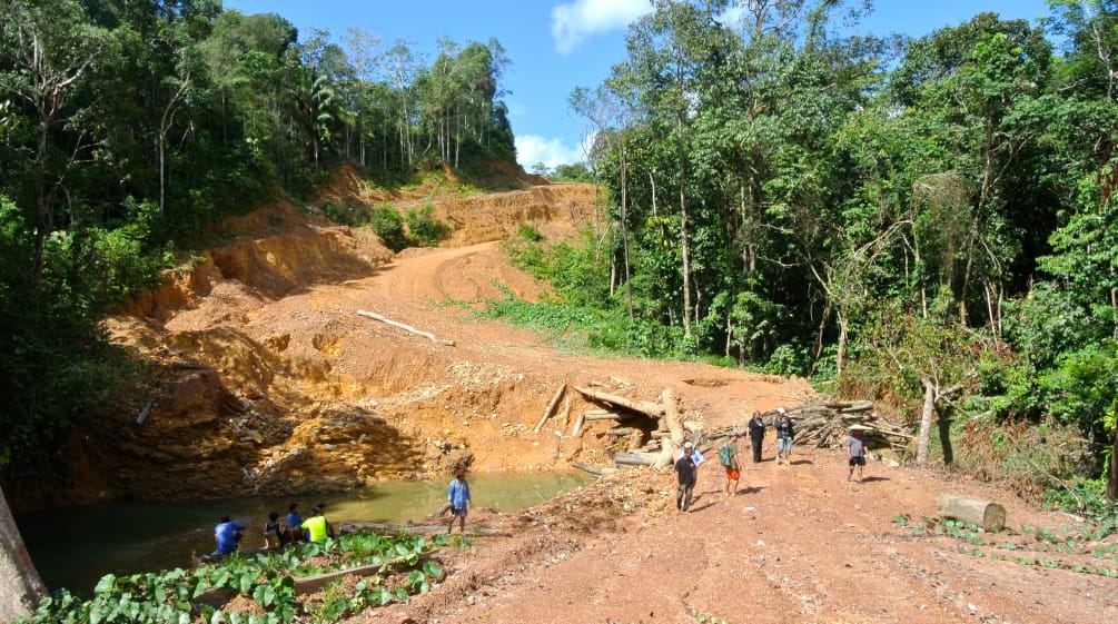 Clearing for logging road