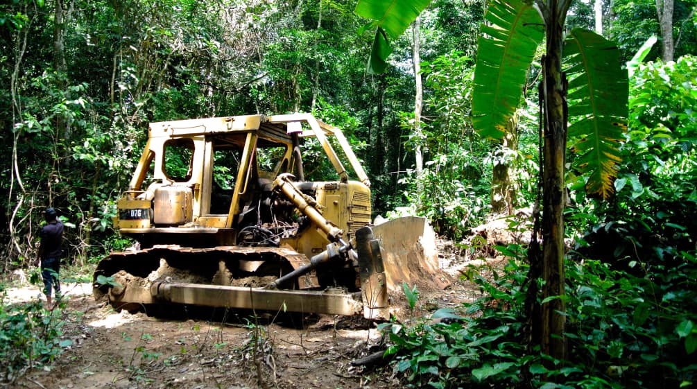 Bulldozer in Cross River National Park, Nigeria