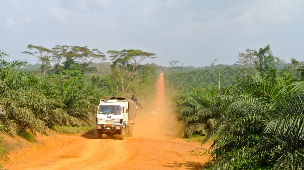 A truck driving through an oil palm plantation in Liberia