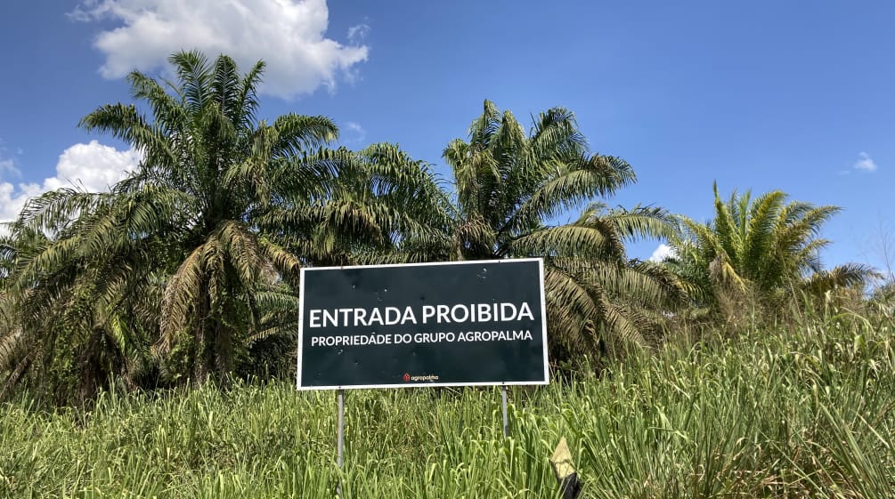 Sign of the Agropalma palm oil company on the edge of an oil palm plantation