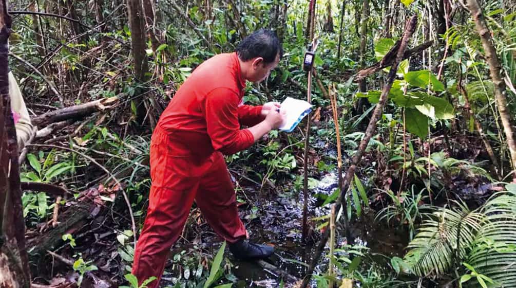 Matek surveying a forest