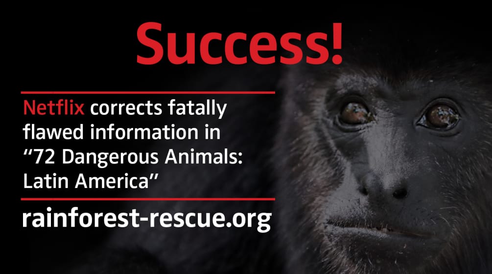 Black howler monkey (Alouatta carayá)  with text "Success!"