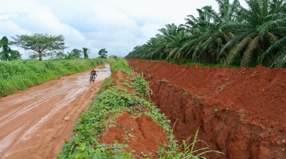 Okomu Oil Palm Company (OOPC) has dug a deep trench around its plantation. Trench around Okomu Oil Palm plantation in Nigeria