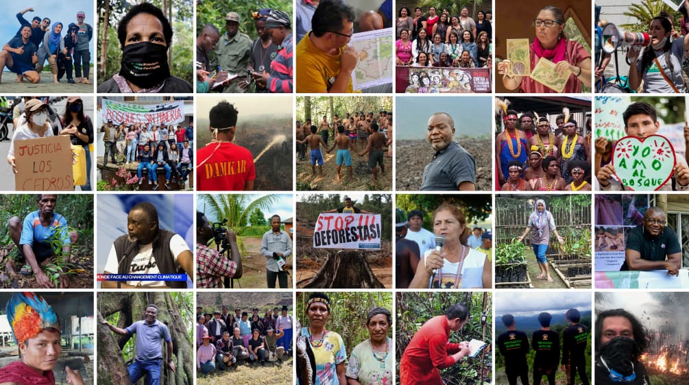 Collage: a selection of Rainforest Rescue partners