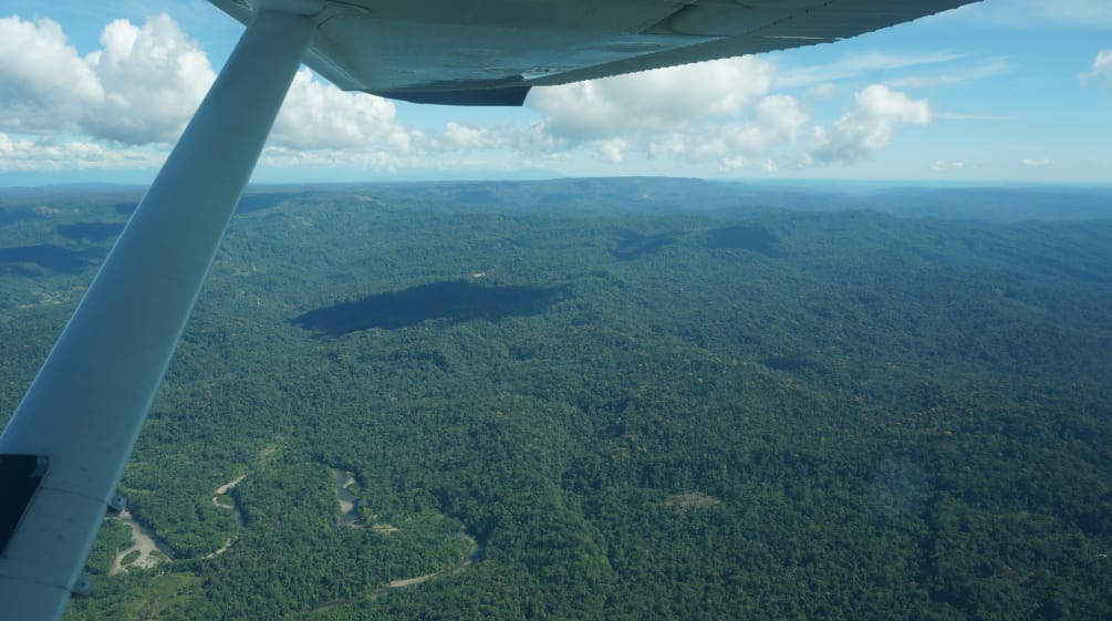 Aerial view of the Sapara rainforest from a small plane