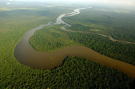 The Amazon river