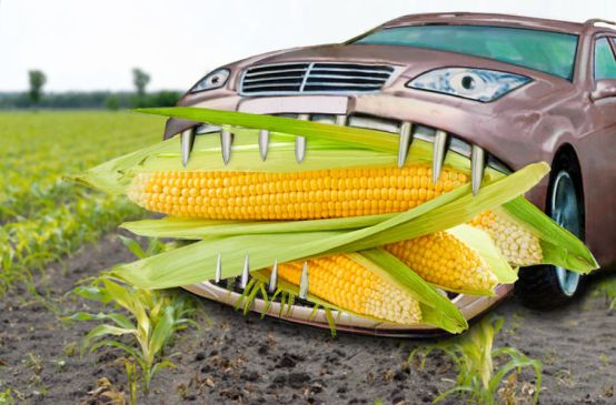 illustrated car eats maize