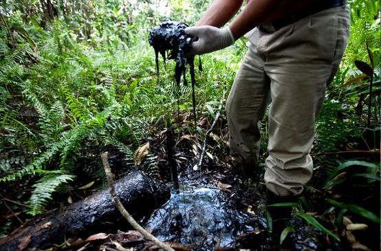 Man with oil spilled soil in his hands