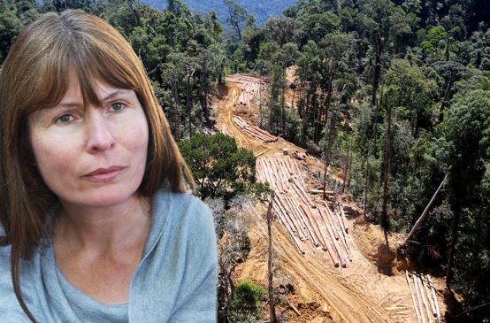 Photo montage of Sarawak Report’s Clare Rewcastle Brown and a forest being cleared